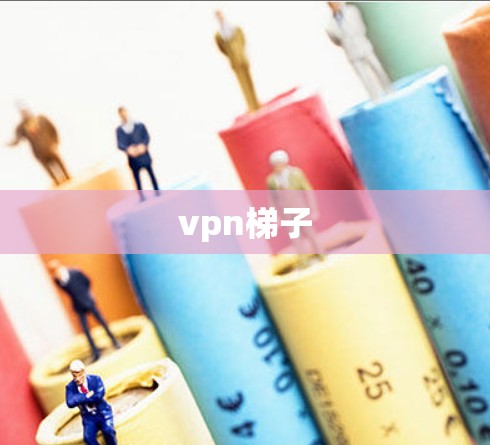 vpn梯子
