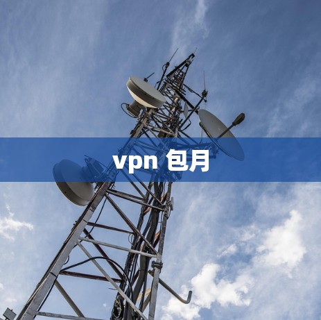 vpn 包月